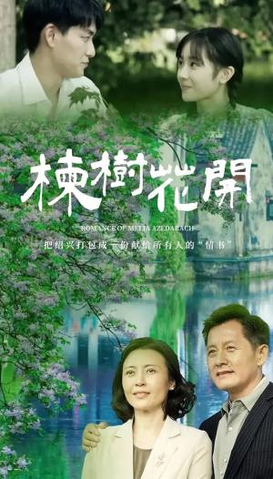 楝树花开