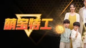 萌宝特工