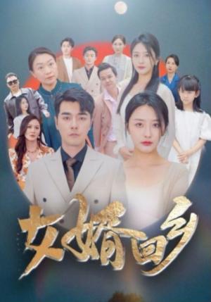 女婿回乡