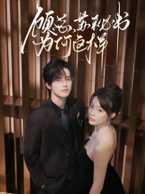 顾总，苏秘书为何这样