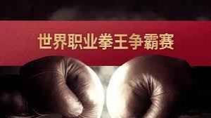 世界职业拳王争霸赛